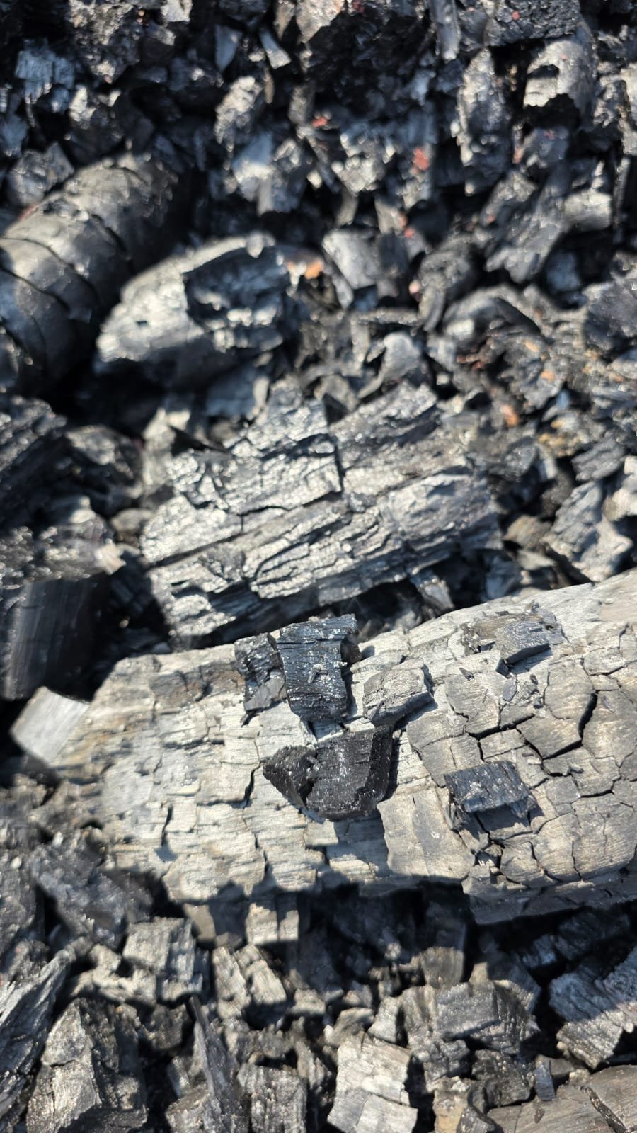 Quenched Biochar Output